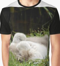 Two Cygnets fast asleep Graphic T-Shirt
