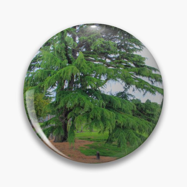 Item preview, Abercorn Greenery designed and sold by tomg.