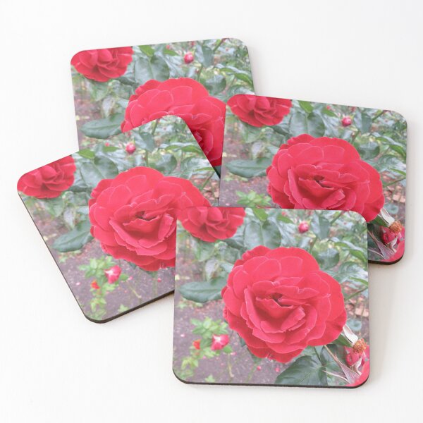 Item preview, Red rose designed and sold by greentiger1.