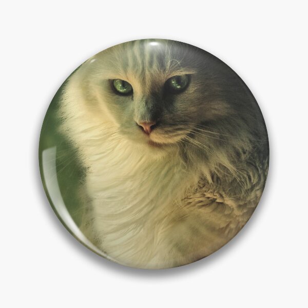 Item preview, I'm only a cat designed and sold by ibjennyjenny.
