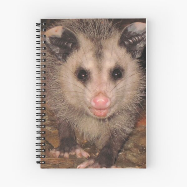 Item preview, Opossum Photo designed and sold by IridescentSea.