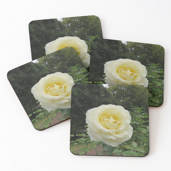 Item preview, Light yellow rose designed and sold by greentiger1.