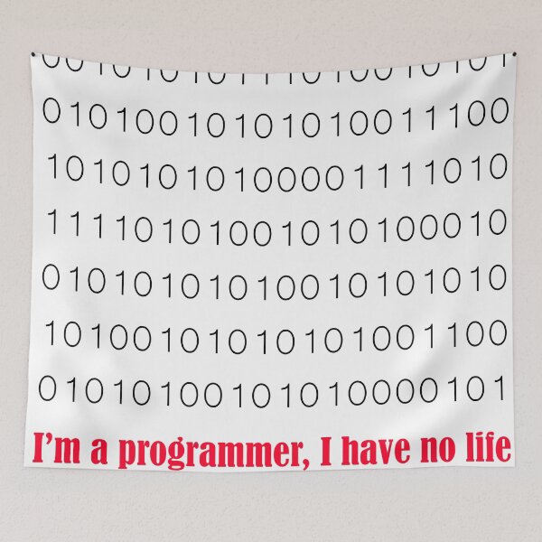 Artikelvorschau, Ich bin Programmierer, ich habe kein Leben entworfen und verkauft von Eriny710.