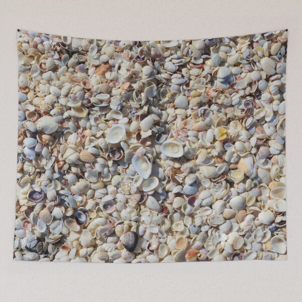 Item preview, Seashells on the beach designed and sold by naturecdesigns.