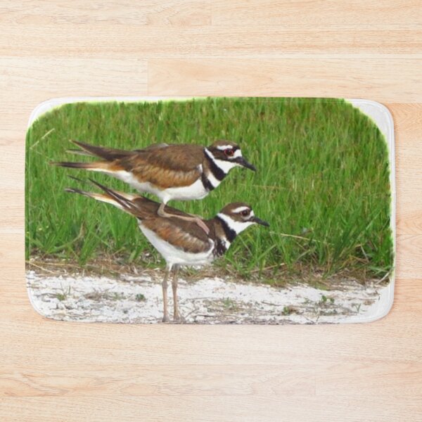 Item preview, KILDEER IN LOVE designed and sold by THE AMERICAN TEEVANGELIST.