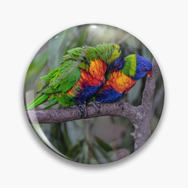 Item preview, Lorikeets designed and sold by Marylou Badeaux.