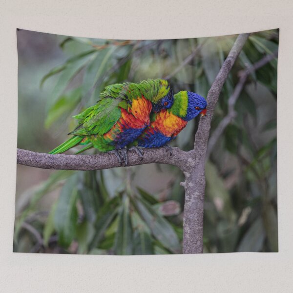 Item preview, Lorikeets designed and sold by Marylou Badeaux.