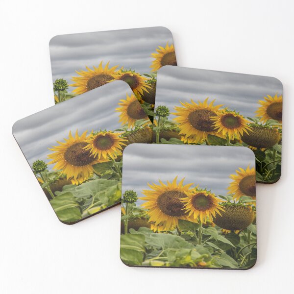 Item preview, Sunflower Field designed and sold by Marylou Badeaux.