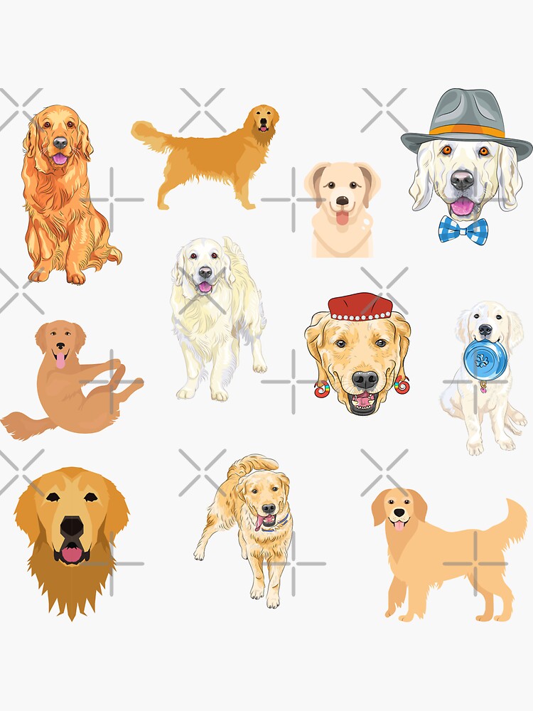 "Golden retriever puppy coat pack" Sticker for Sale by carcorrea0