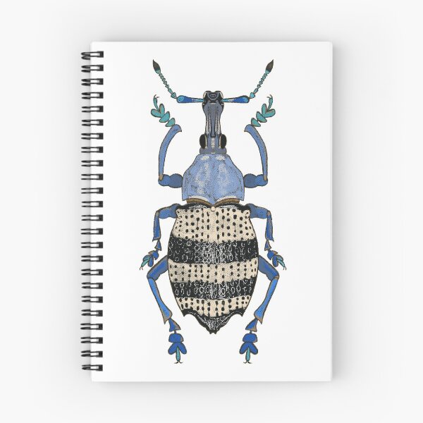 Item preview, Blue Weevil (Eupholus albofasciatus) designed and sold by beetlelady.