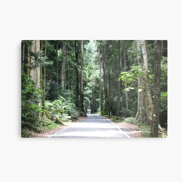 Item preview, Australian Rainforest drive designed and sold by NJH110.