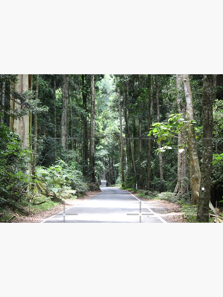 Thumbnail 3 of 3, Sticker, Australian Rainforest drive designed and sold by NJH110.