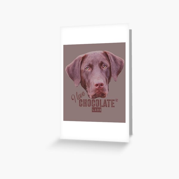 Chocolate Labrador Dog Square Blank Greeting Card Chocolate Labrador Dog Square Blank Greeting Card