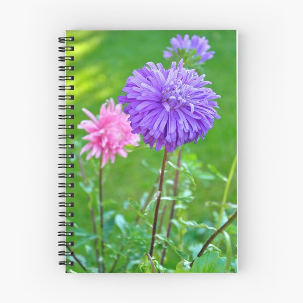 Item preview, A Lilac Aster designed and sold by Orla Cahill Photography.