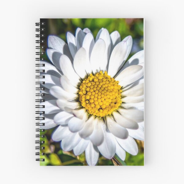 Item preview, Bellis flower designed and sold by Ozi00.