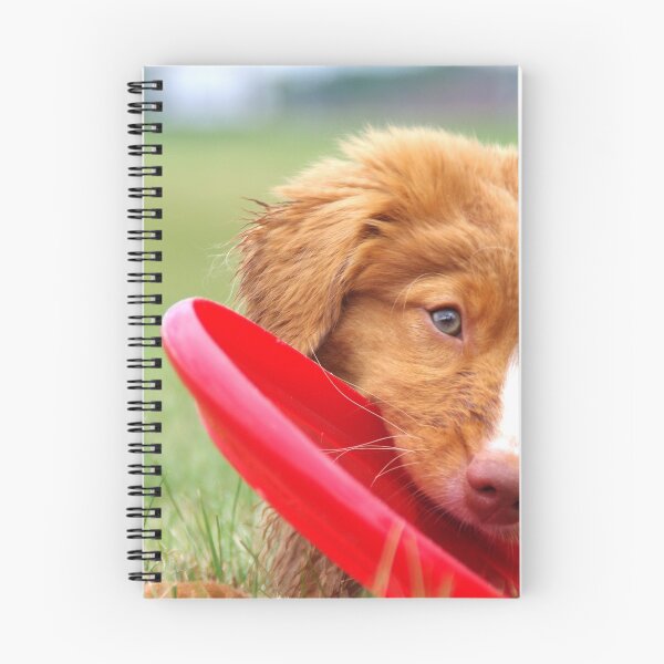 Item preview, Toller Puppy with Frisbee designed and sold by Joseph Carlson.