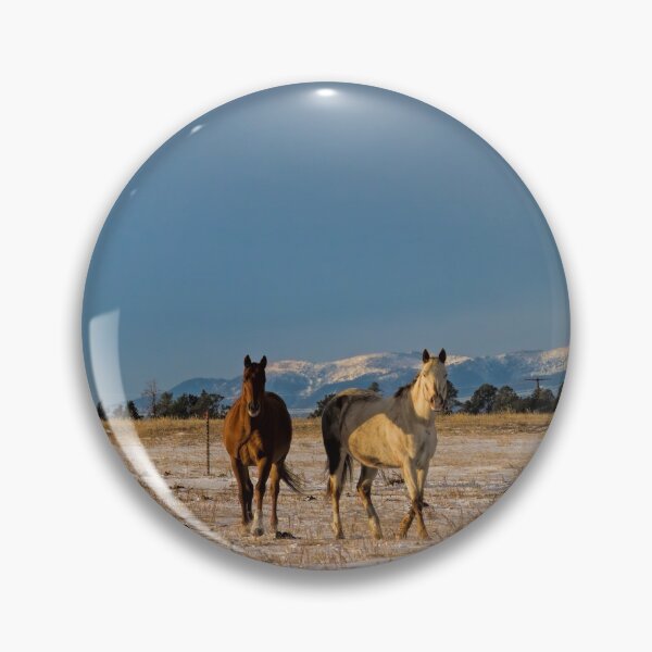 Item preview, Come on Ponies designed and sold by alanathrower.