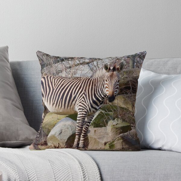 Item preview, Lone Zebra Against Rock Wall designed and sold by KMDavidPhoto.