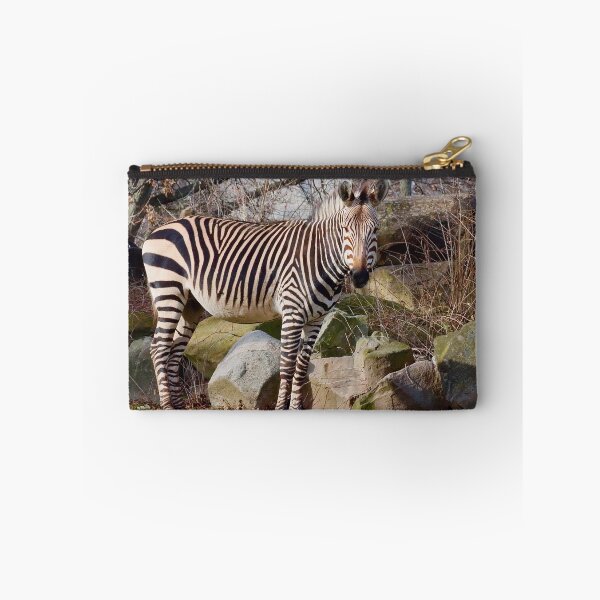 Item preview, Lone Zebra Against Rock Wall designed and sold by KMDavidPhoto.