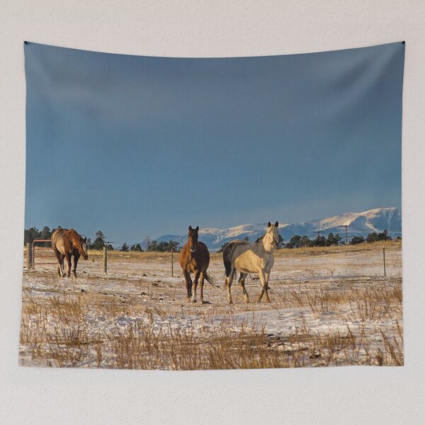Item preview, Come on Ponies designed and sold by alanathrower.
