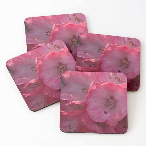 Item preview, Rhododendron in Pink designed and sold by Sarah Curtiss.