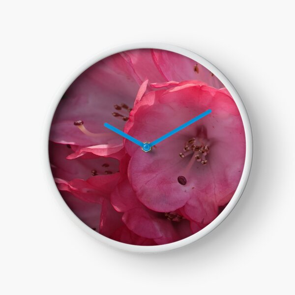 Rhododendron in Pink Clock