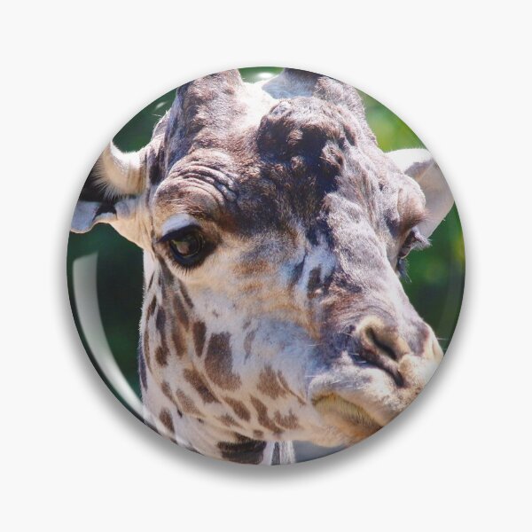 Item preview, Here’s Looking at You Giraffe  designed and sold by KMDavidPhoto.