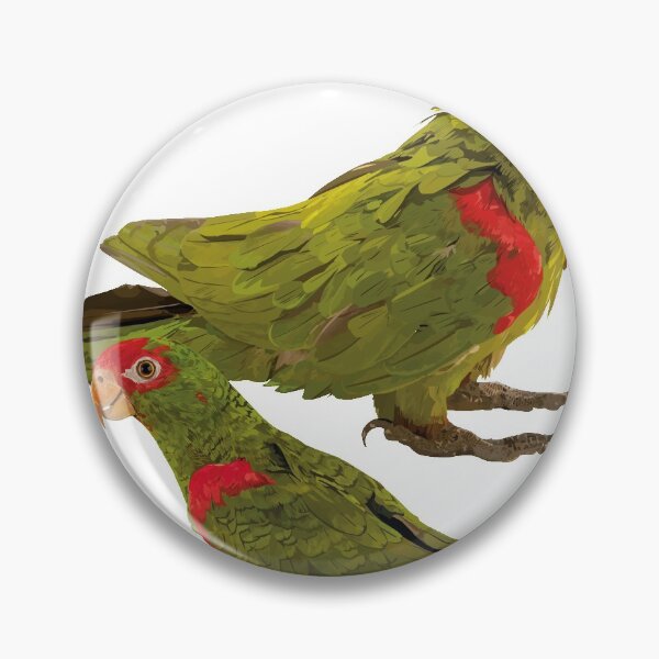 Item preview, Parrot and mountain parakeet designed and sold by obscurite.