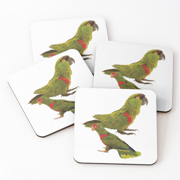 Item preview, Parrot and mountain parakeet designed and sold by obscurite.