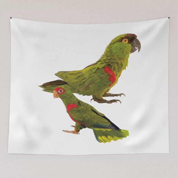 Item preview, Parrot and mountain parakeet designed and sold by obscurite.