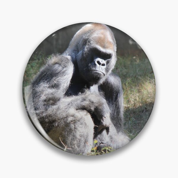 Item preview, Gorilla designed and sold by Autumn Seas Photography.
