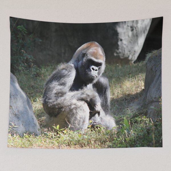 Item preview, Gorilla designed and sold by Autumn Seas Photography.