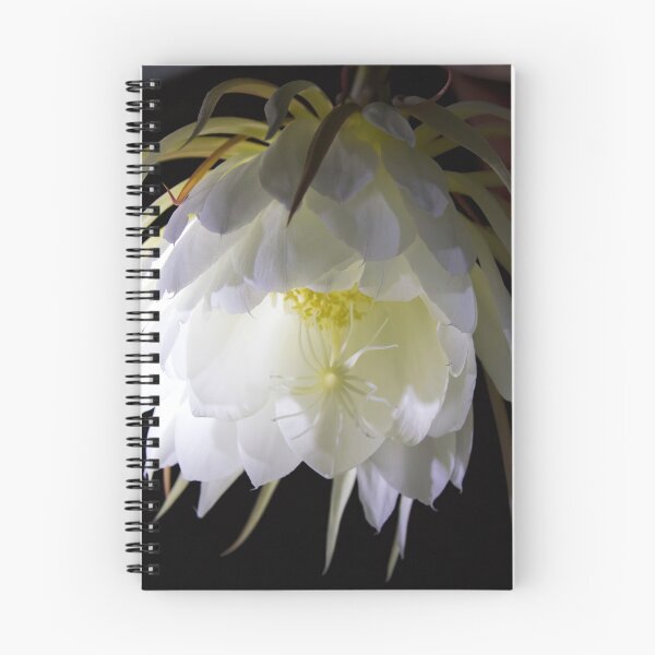 Item preview, Night Blooming Cereus designed and sold by alanathrower.
