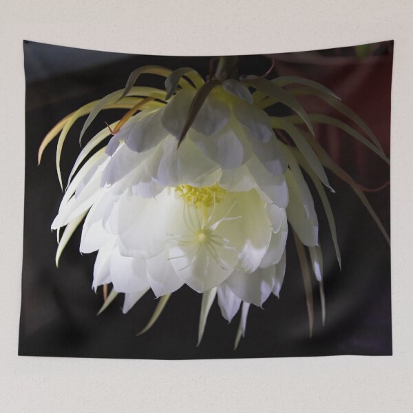 Item preview, Night Blooming Cereus designed and sold by alanathrower.