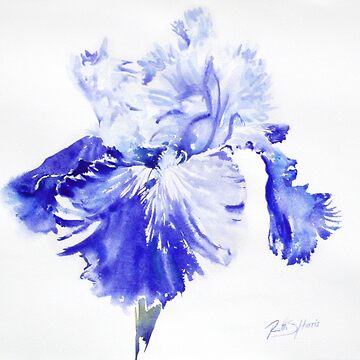 Artwork thumbnail, Rex's Blue Iris by RSHarts