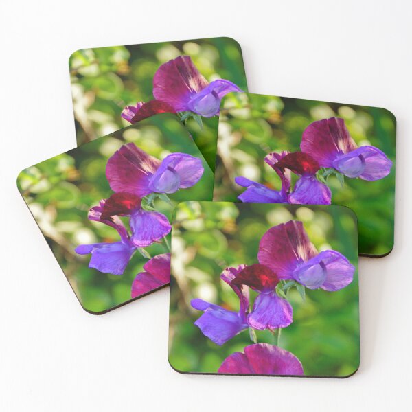 Item preview, Lathyrus Odoratus - Variegated designed and sold by Orla Cahill Photography.