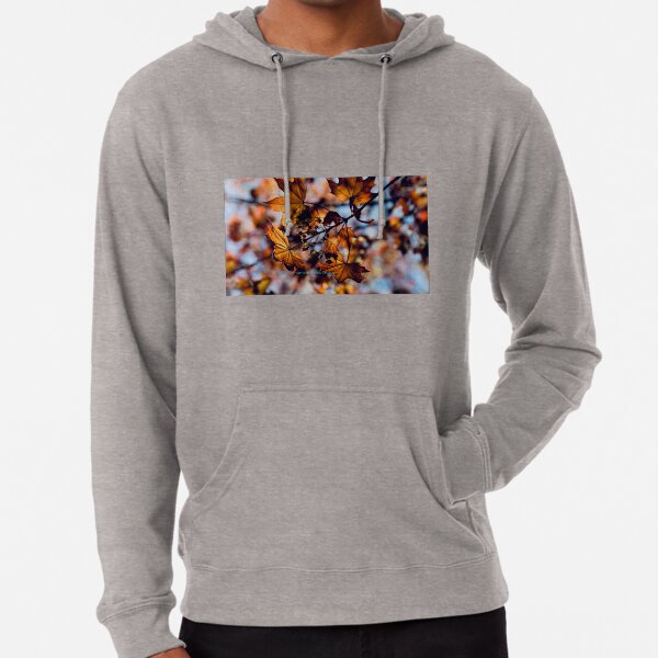 Rebirth Lightweight Hoodie