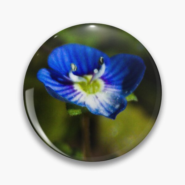 Item preview, Speedwell Flower designed and sold by Kitkatfoxx.