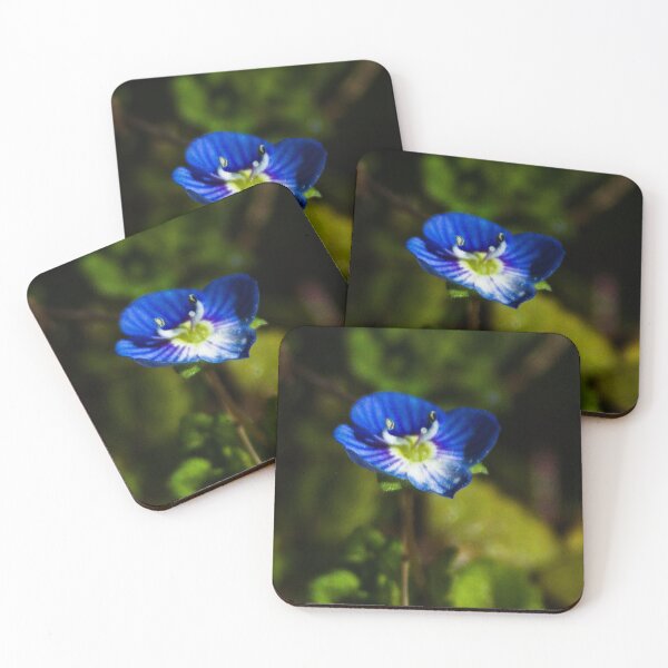 Item preview, Speedwell Flower designed and sold by Kitkatfoxx.