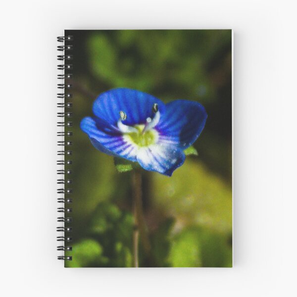 Item preview, Speedwell Flower designed and sold by Kitkatfoxx.