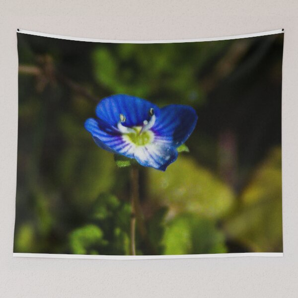 Item preview, Speedwell Flower designed and sold by Kitkatfoxx.