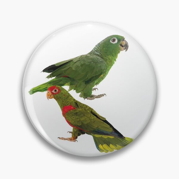 Item preview, Parrots designed and sold by obscurite.