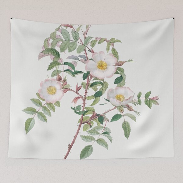 Item preview, Les Roses by Pierre-Joseph Redouté designed and sold by EsotericBotanic.