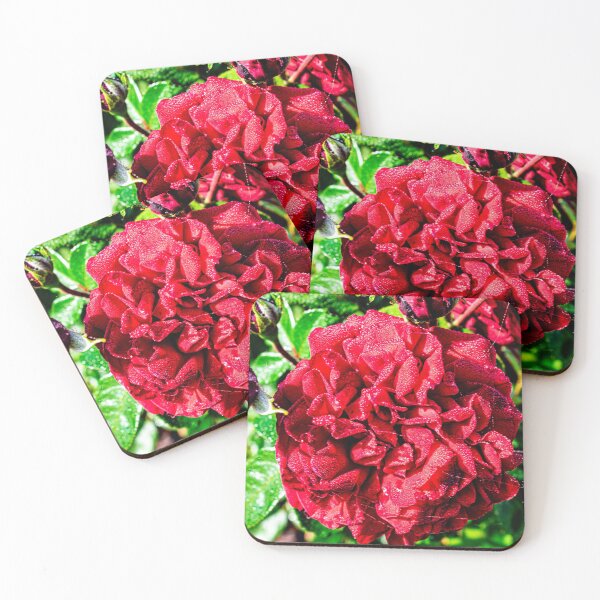 Item preview, Looking down on an ANZAC rose designed and sold by PHphotographyAU.