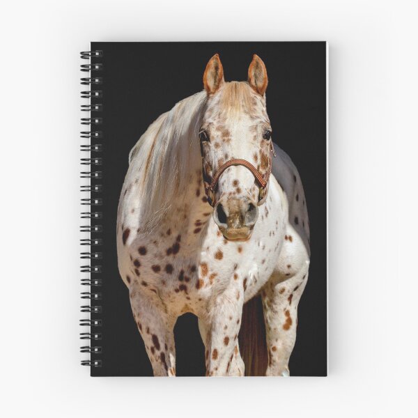 Item preview, Appy mare designed and sold by tahoetackntrain.