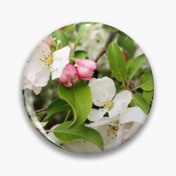 Aperçu de l'œuvre Fleur de pommier créée et vendue par Jkstrom68.