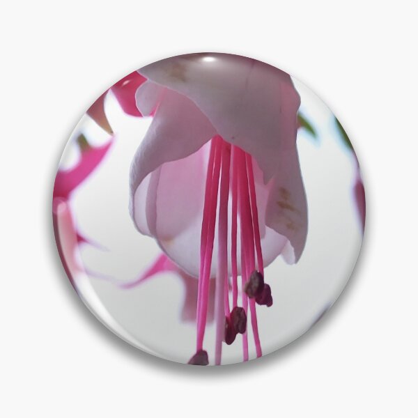 Item preview, Delightful  designed and sold by Jkstrom68.