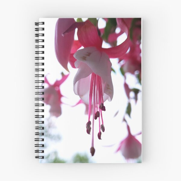 Item preview, Delightful  designed and sold by Jkstrom68.
