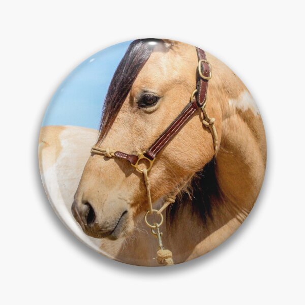 Item preview, Buckskin mare designed and sold by tahoetackntrain.