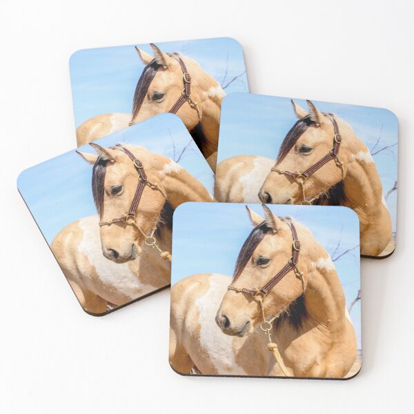 Item preview, Buckskin mare designed and sold by tahoetackntrain.